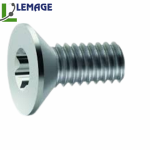 LEMAGE VIS CONIQUE 4x3mm